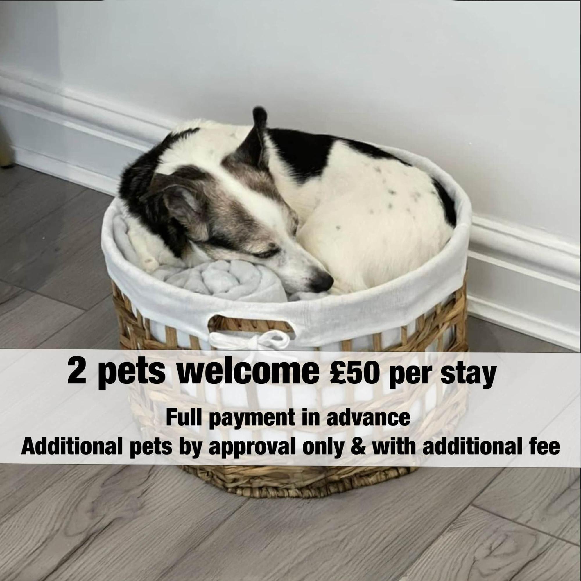 The Lockett Wonderful Large Bungalow Plympton, Plymouth Free Parking By Staystaycations Екстериор снимка
